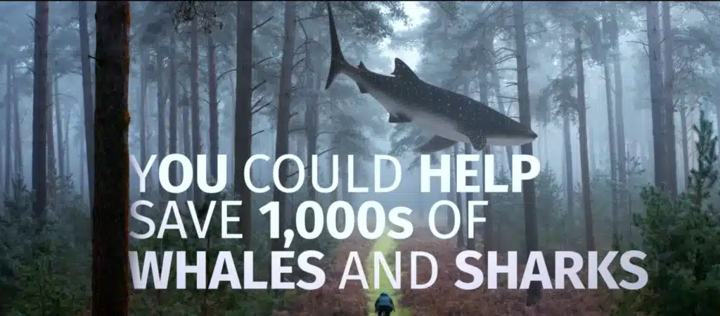 surreal forest scene with a large whale shark floating mid-air above a cyclist on a misty path, accompanied by bold white text reading “You could help save 1,000s of whales and sharks,” promoting marine conservation awareness